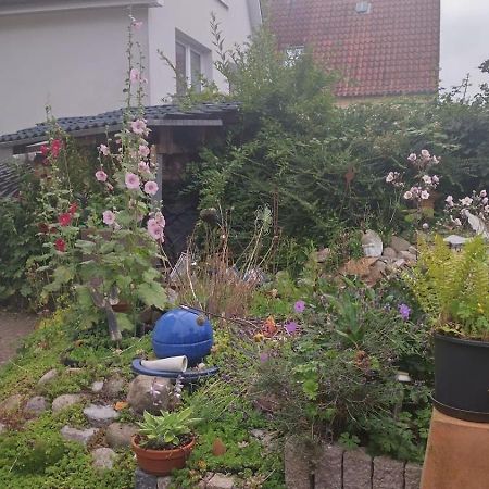 Charmante Ferienwohnung Plön Zewnętrze zdjęcie